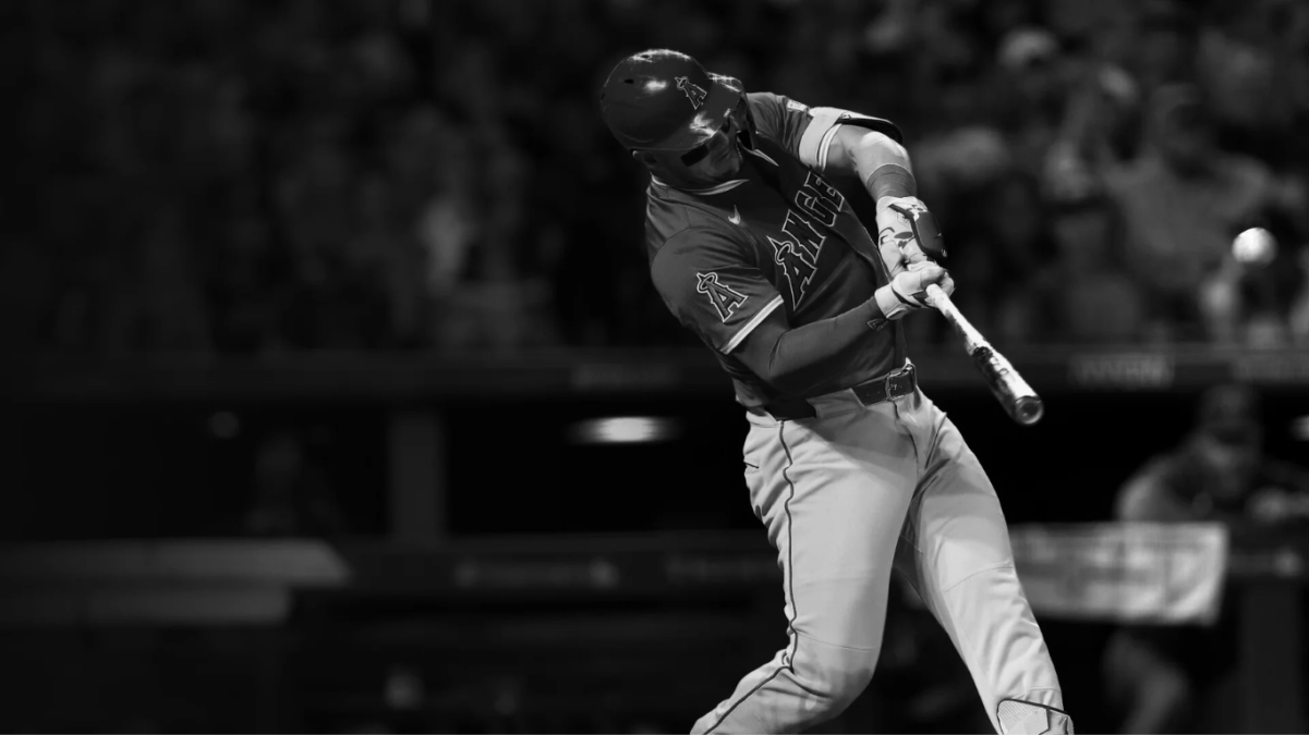 Wood Baseball Bats